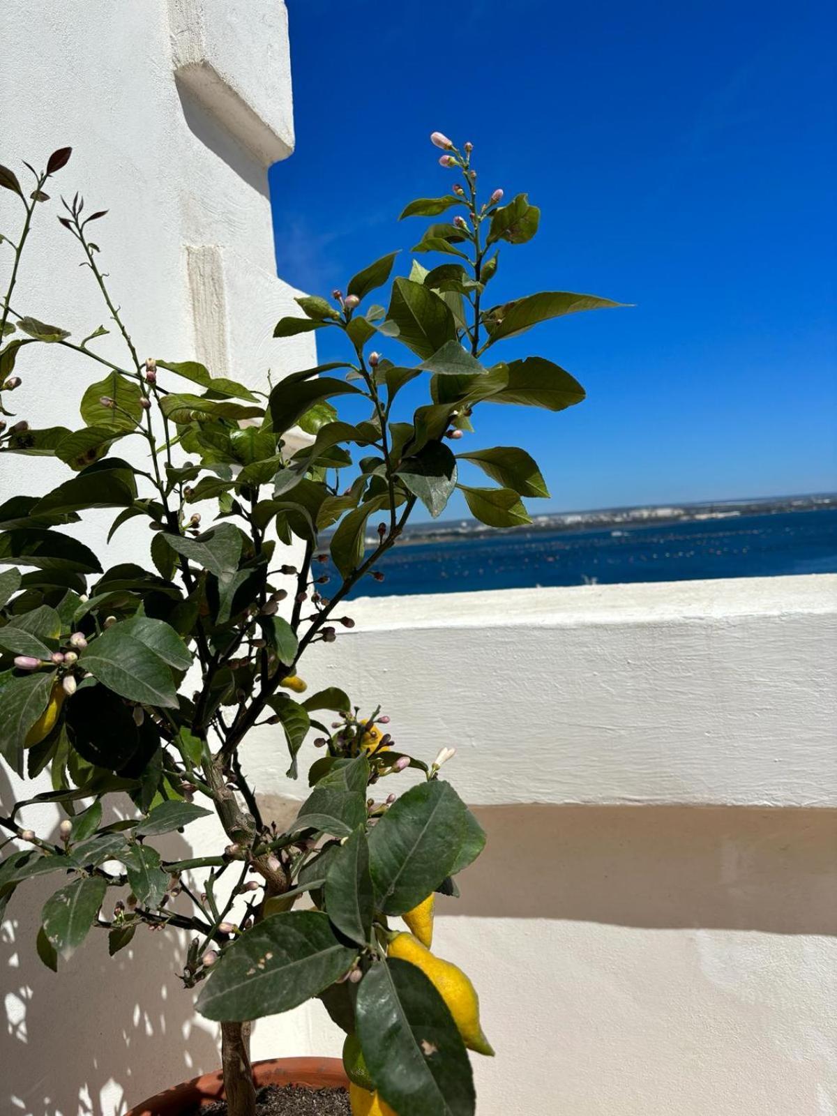 Apartamento Il Palazzino Tarento Exterior foto